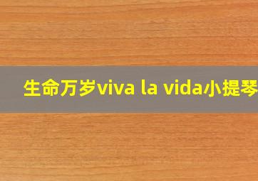 生命万岁viva la vida小提琴